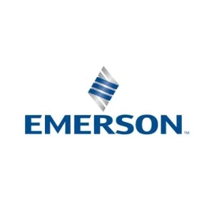 Emerson Process Management del Peru SAC